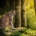 Nach Zoff und auf drängen der SVP: Luchs im Muotatal abgeschossen.